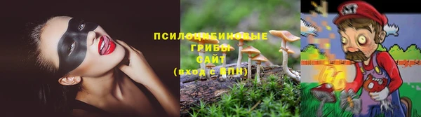 кокс Белокуриха