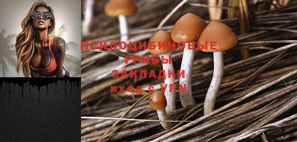 хмурый Белоозёрский