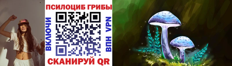Галлюциногенные грибы Psilocybine cubensis  Олёкминск 